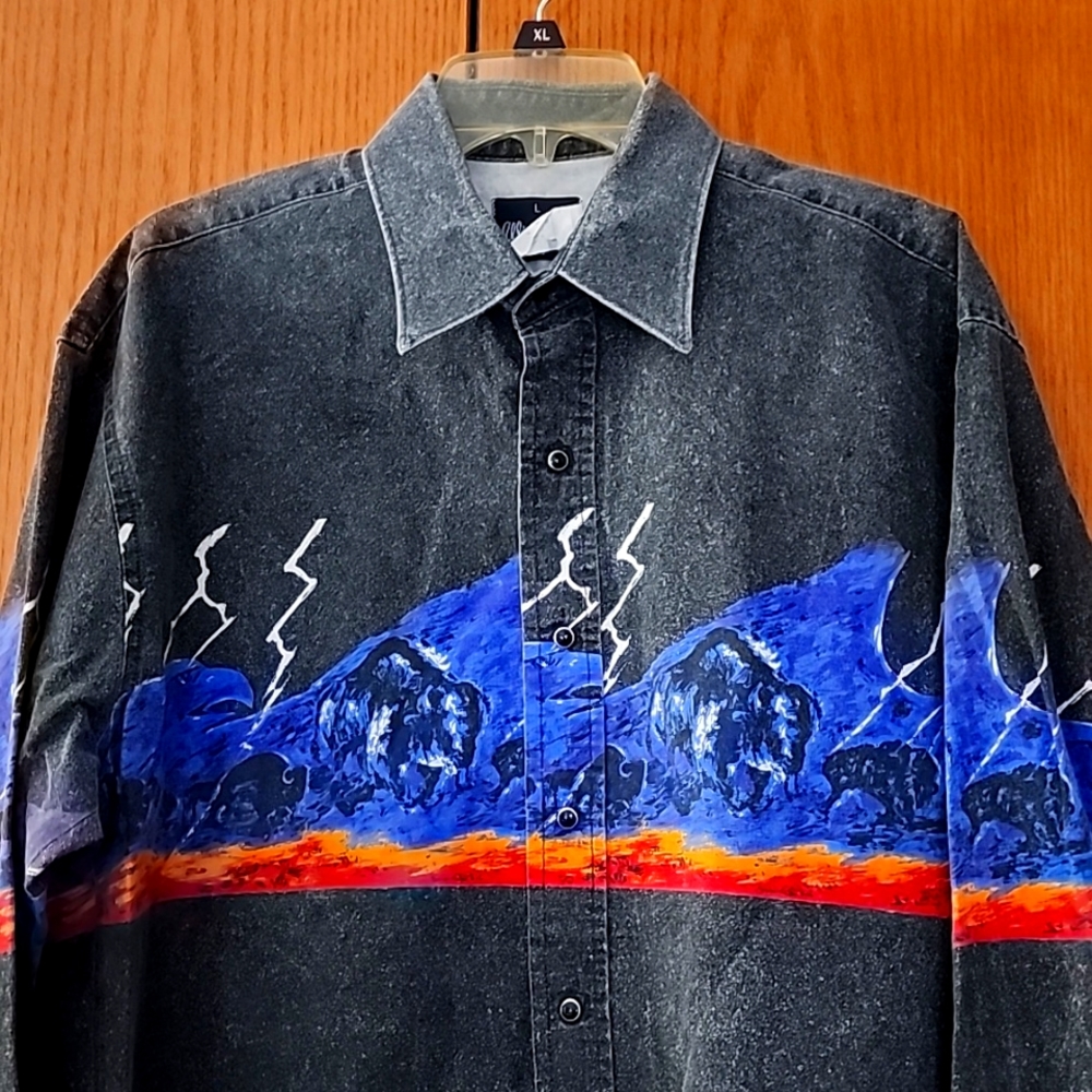 Men's country western long sleeve shirt.